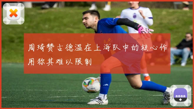 周琦赞古德温在上海队中的核心作用称其难以限制