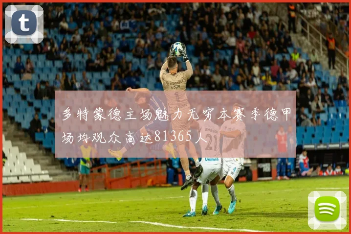 多特蒙德主场魅力无穷本赛季德甲场均观众高达81365人